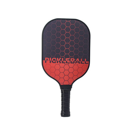 Dual Shade Pickleball Paddle for Kids